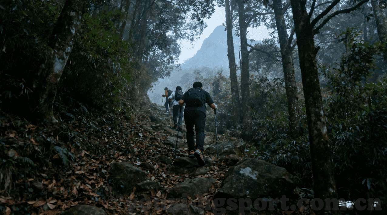 仙剑奇侠传九野手游官网版下载-探索古典仙侠世界的浪漫情怀——仙剑奇侠传九野手游官网版下载
